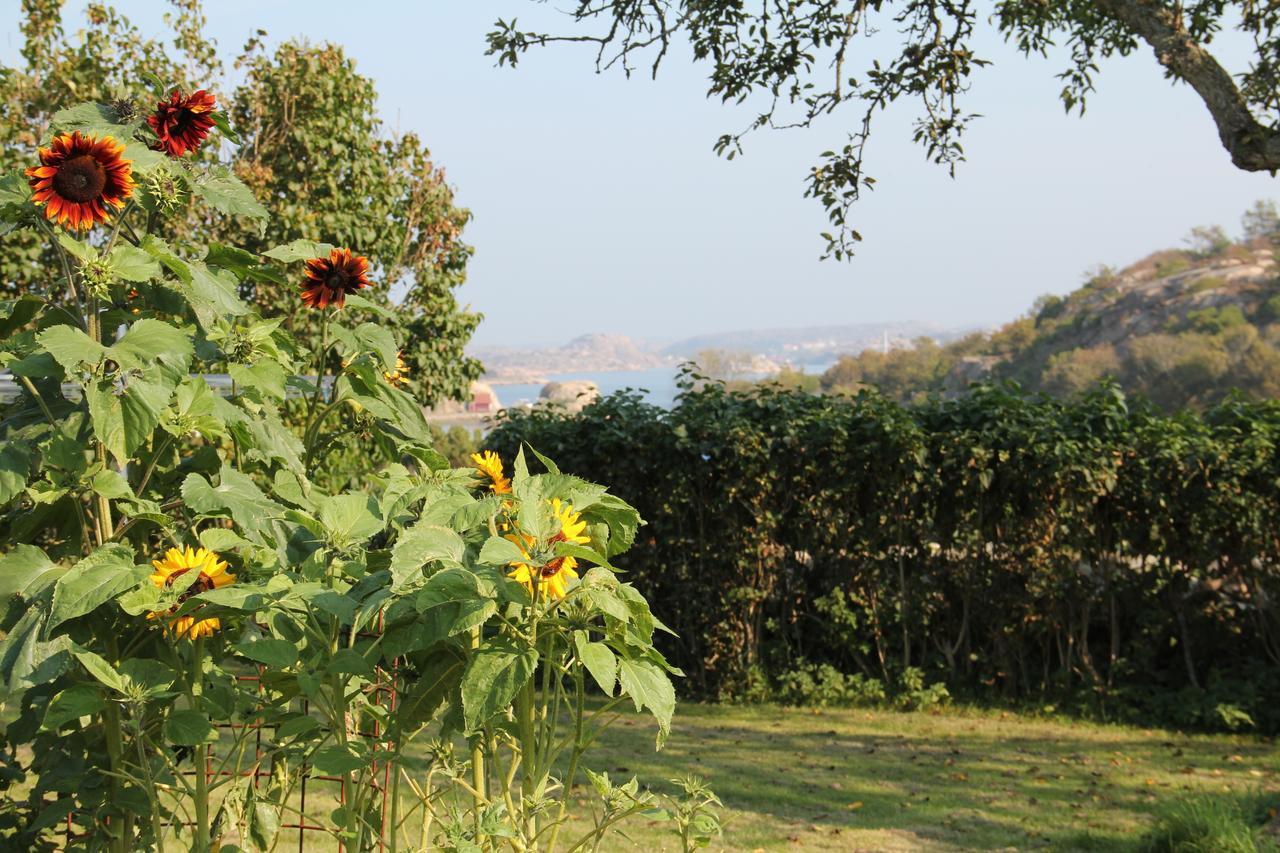 Ramsviks Overgard Hostel Hunnebostrand Ngoại thất bức ảnh